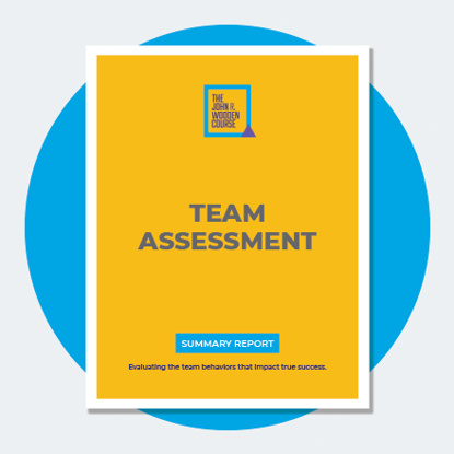 Picture of The Pyramid of Success: Assessment For Business and Teams