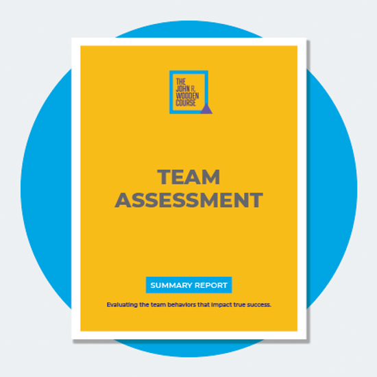 Picture of The Pyramid of Success: Assessment For Business and Teams